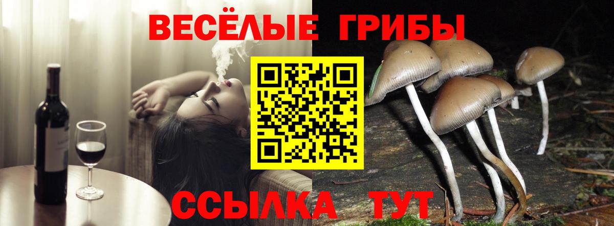 Галлюциногенные грибы Psilocybine cubensis Озёры